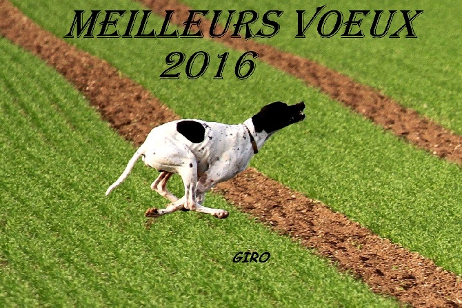 De bassegas - Bonne Année 2016