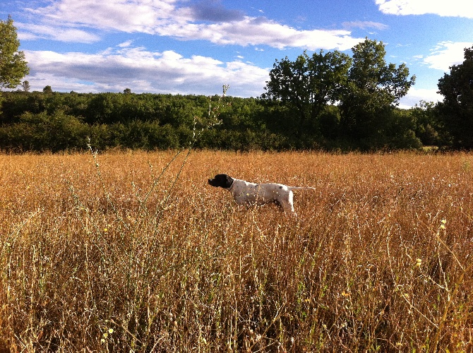 De bassegas - En attendant les b...