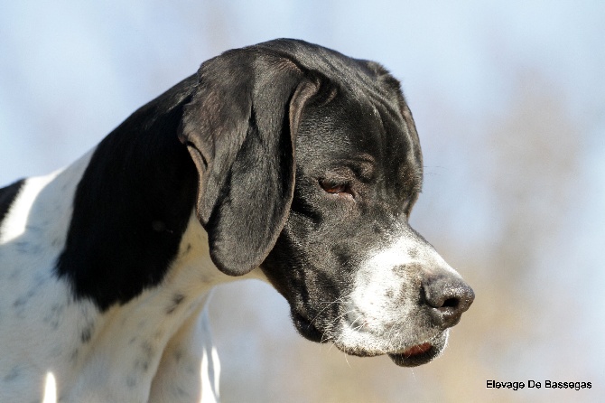 De bassegas - Coup de gueule .......