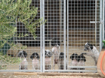 De bassegas - Les Bassegas Nouveaux petit clin d'oeil ...