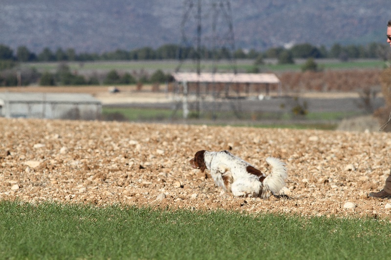 Eskobar De bassegas